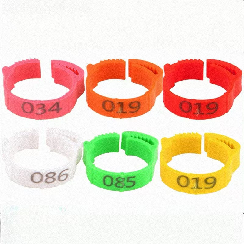 100pcs Chicken Foot Ring Label – Baby Food Label Bewertung und Preis