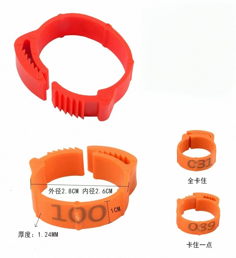 100pcs Chicken Foot Ring Label – Baby Food Label Bewertung und Preis
