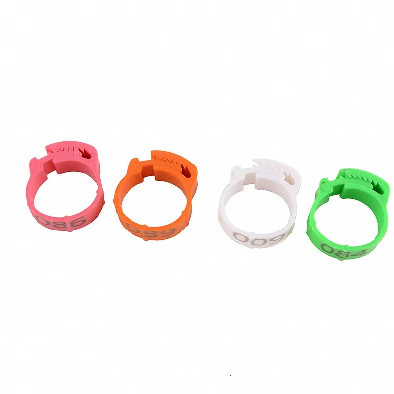 100pcs Chicken Foot Ring Label – Baby Food Label Bewertung und Preis
